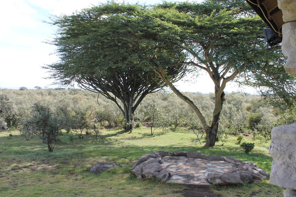 Shwari Cottages Naivasha Εξωτερικό φωτογραφία
